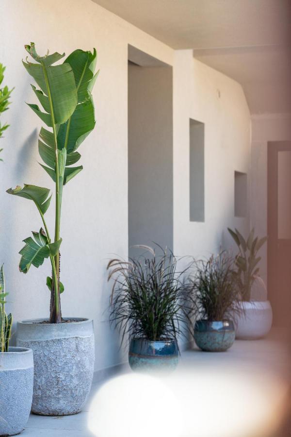 Villa Ilma Luxury Rooms Arzachena Esterno foto